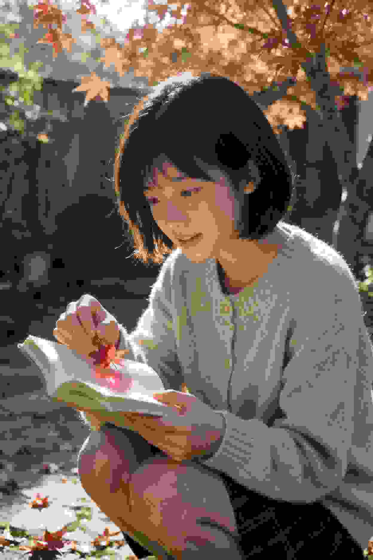 红楼新编